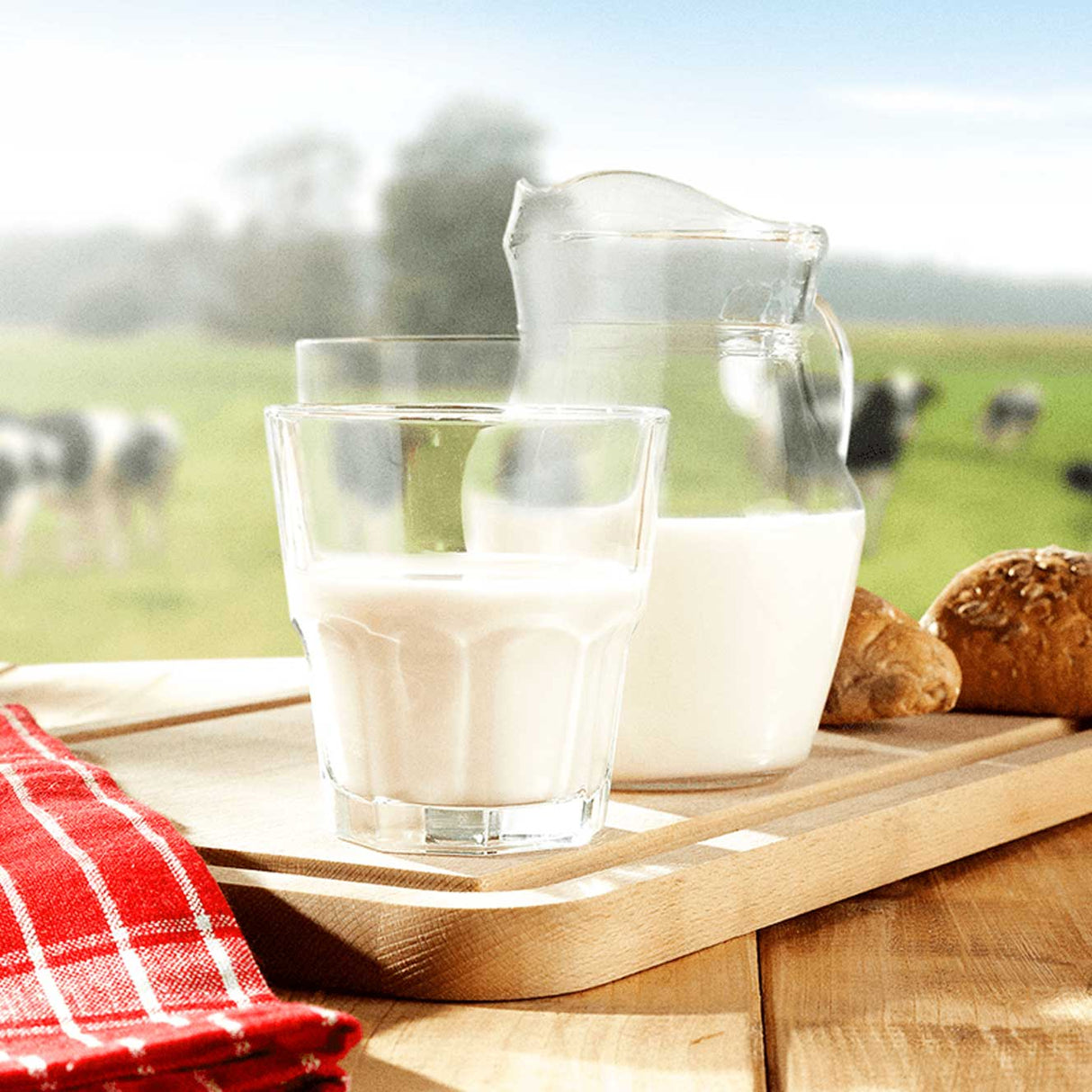 Whey Protein - Best Whey Protein - ATLHETICA NUTRITION