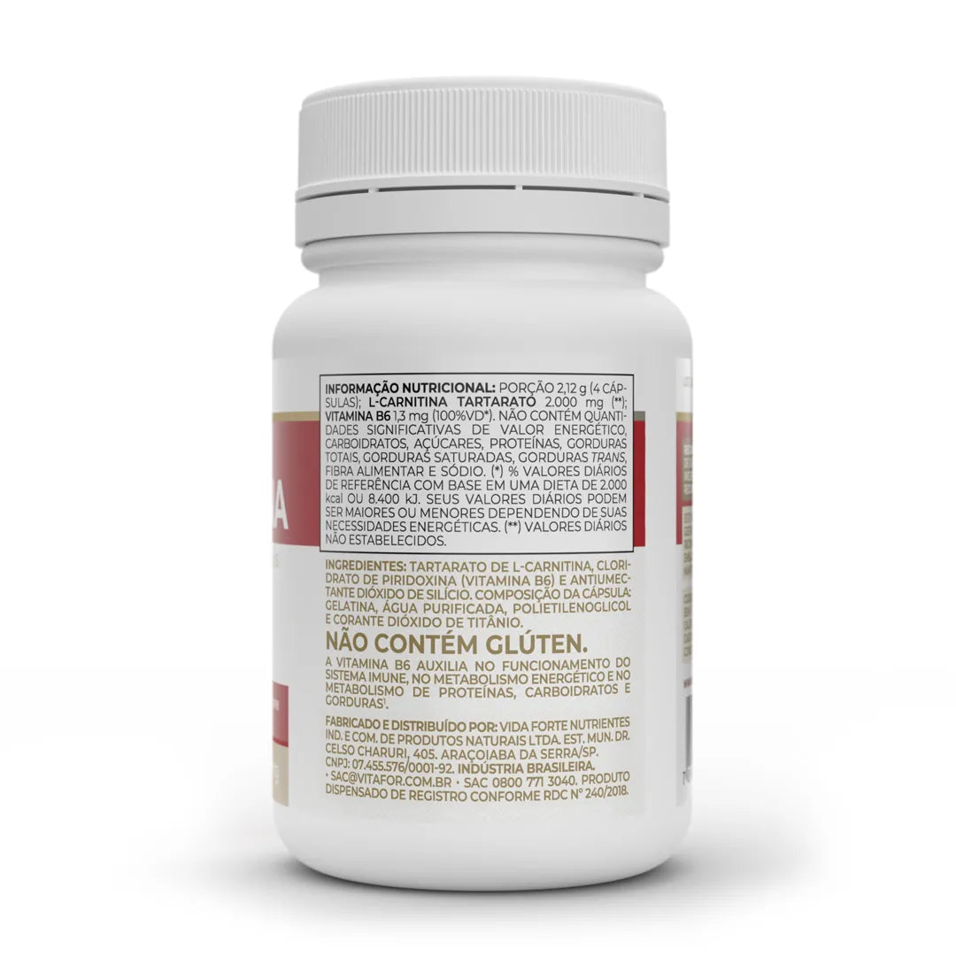 Aminoácido - L-Carnitina - Cápsulas - Vitafor - HOTBODY