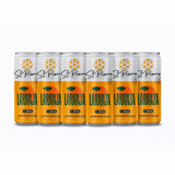 Kit 6 Bebidas Refrigerantes Zero Açúcar 310ml - St. Pierre - HOTBODY